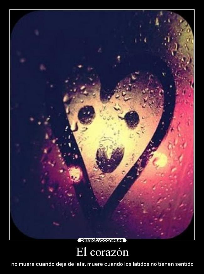 El corazón -