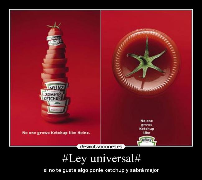 #Ley universal# - 