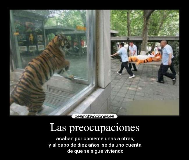 Las preocupaciones - acaban por comerse unas a otras,
y al cabo de diez años, se da uno cuenta
de que se sigue viviendo