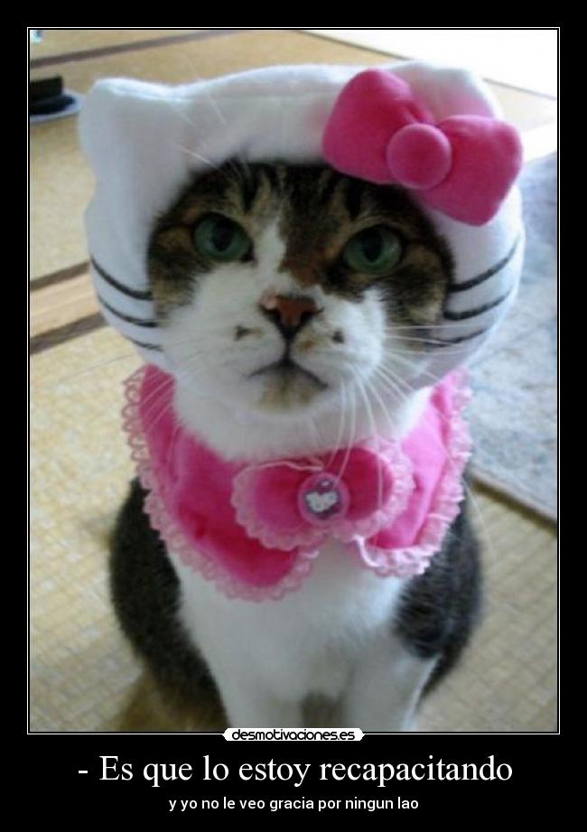 - Es que lo estoy recapacitando -