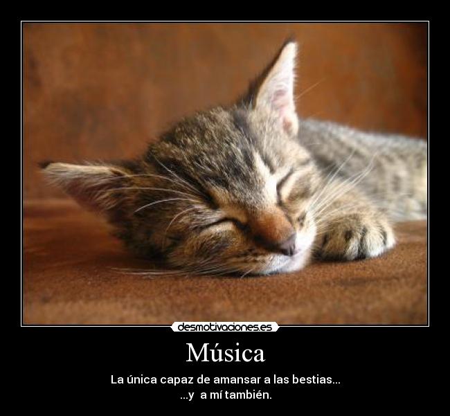 Música - La única capaz de amansar a las bestias...
...y a mí también.