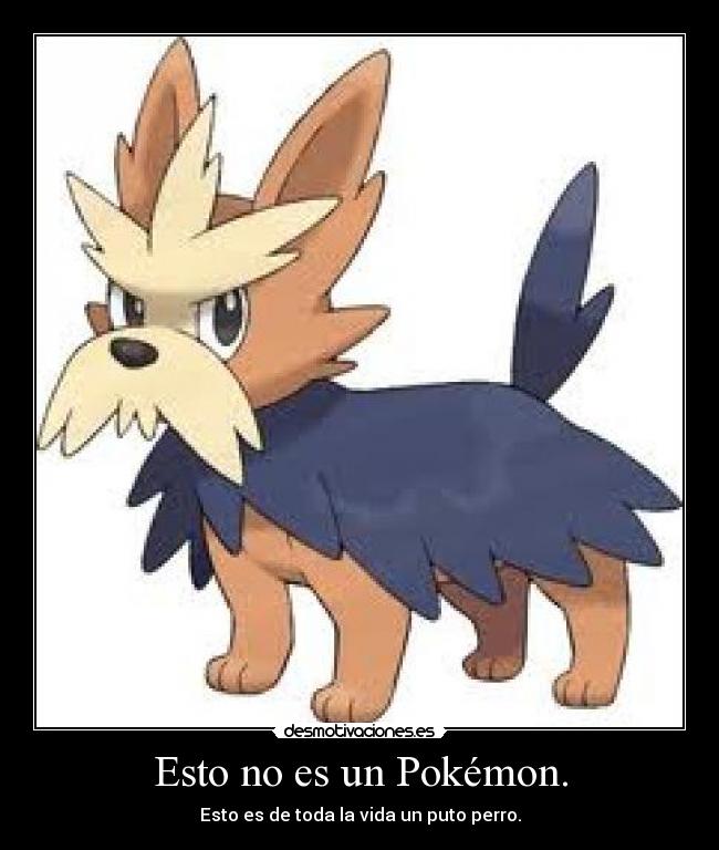 Esto no es un Pokémon. -