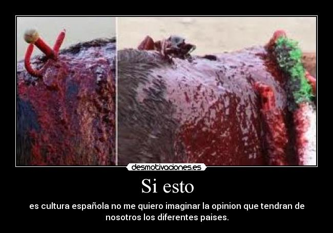 Si esto - es cultura española no me quiero imaginar la opinion que tendran de
nosotros los diferentes paises.