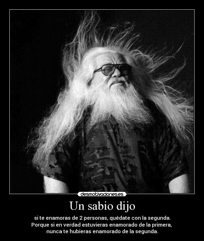 carteles sabio amor desmotivaciones