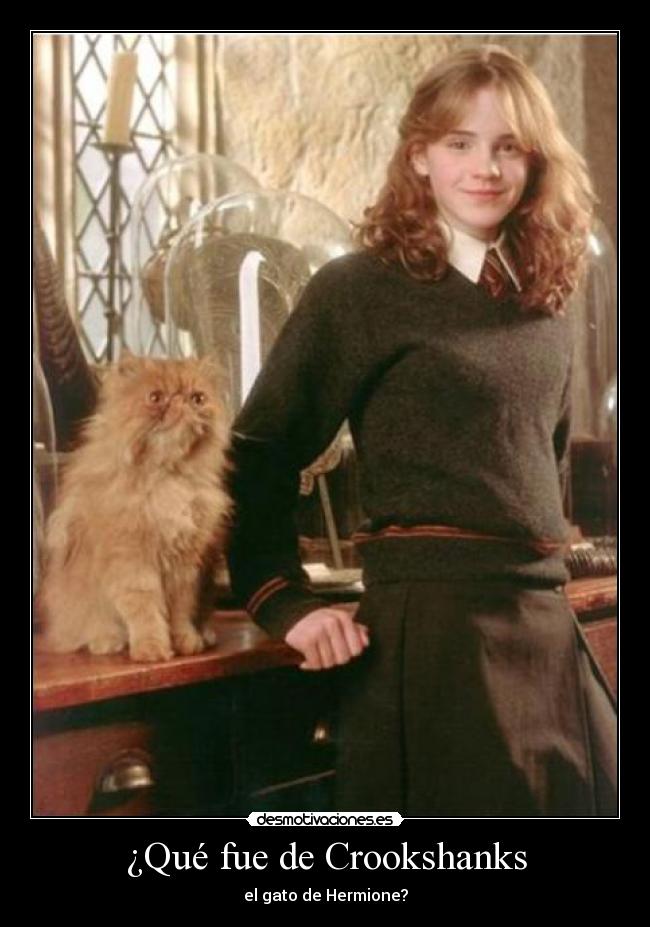 ¿Qué fue de Crookshanks -
