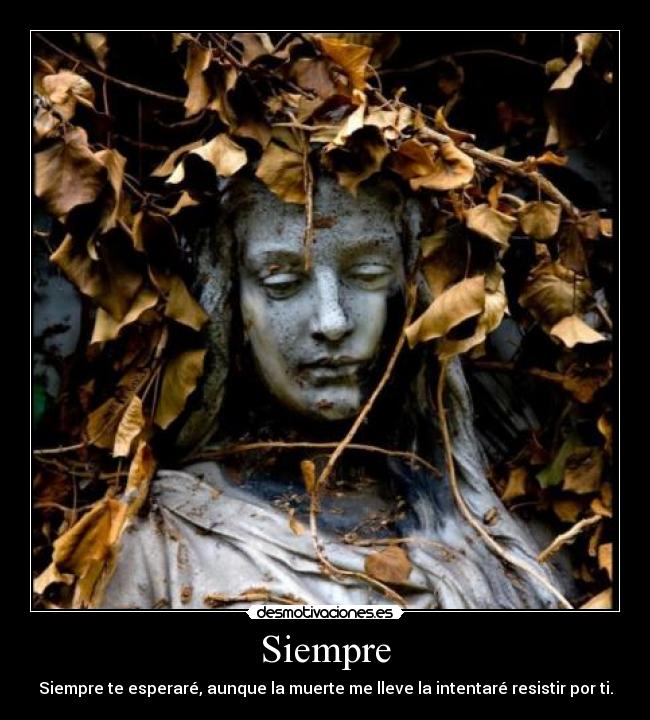 Siempre - 