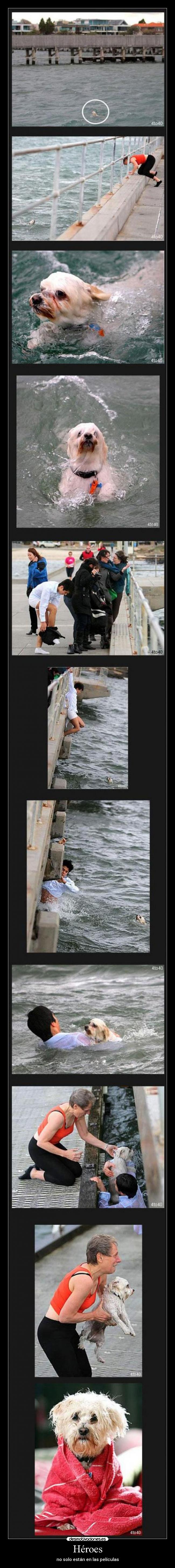 Héroes - no solo están en las películas