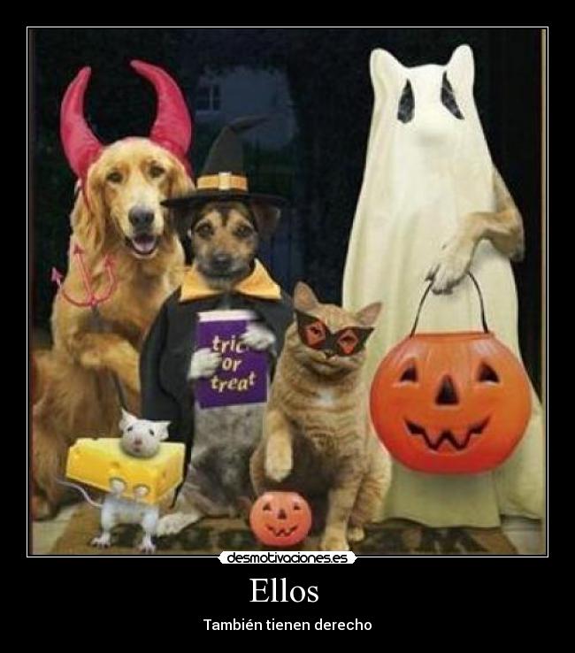 Ellos -