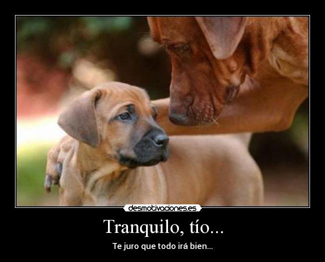 Tranquilo, tío... - Te juro que todo irá bien...
