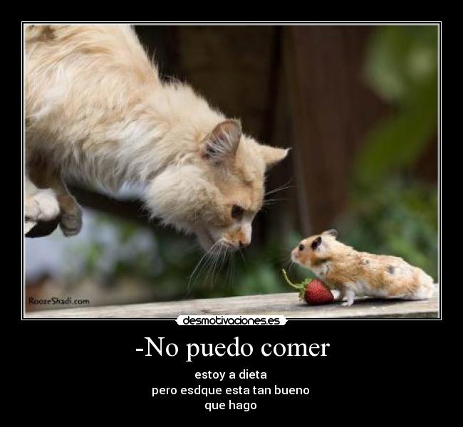 -No puedo comer - estoy a dieta
pero esdque esta tan bueno
que hago