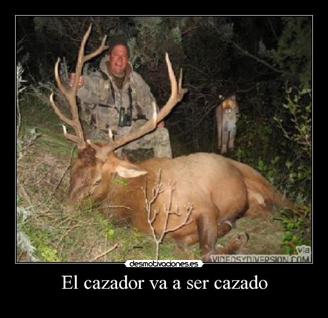 El cazador va a ser cazado - 