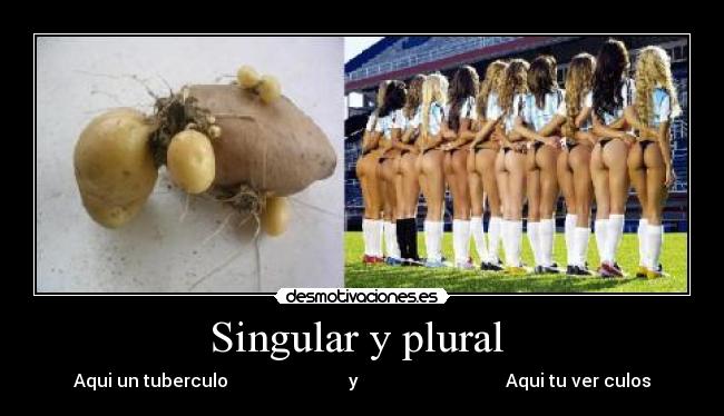 Singular y plural -