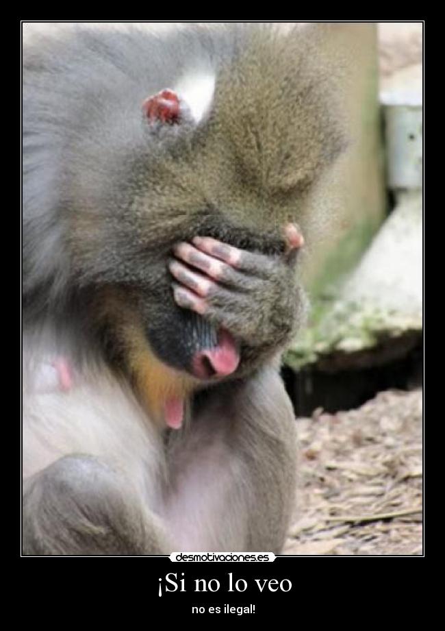 ¡Si no lo veo - no es ilegal!