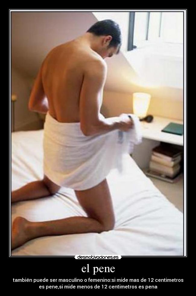 el pene -