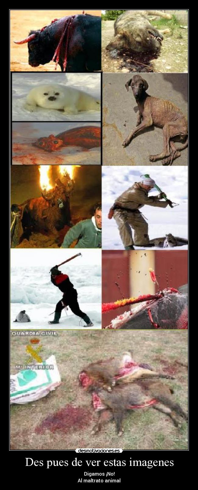 Des pues de ver estas imagenes - 