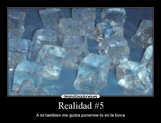 Realidad #5 - A mi tambien me gusta ponerme-lo en la boca