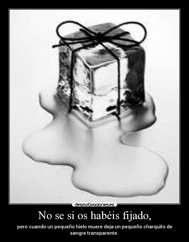 No se si os habéis fijado, - pero cuando un pequeño hielo muere deja un pequeño charquito de
sangre transparente.