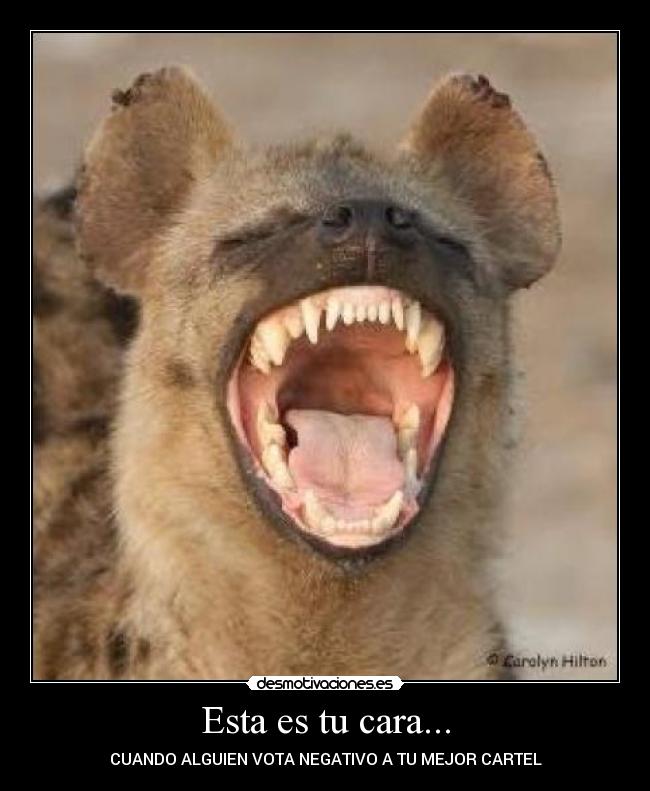 Esta es tu cara... -