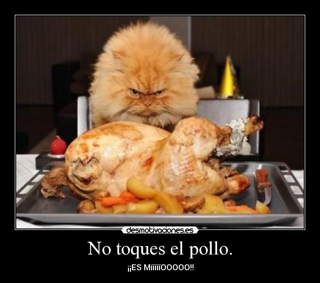 No toques el pollo. - ¡¡ES MíííííOOOOO!!