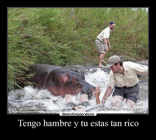 carteles fefeeeweweewewewew desmotivaciones