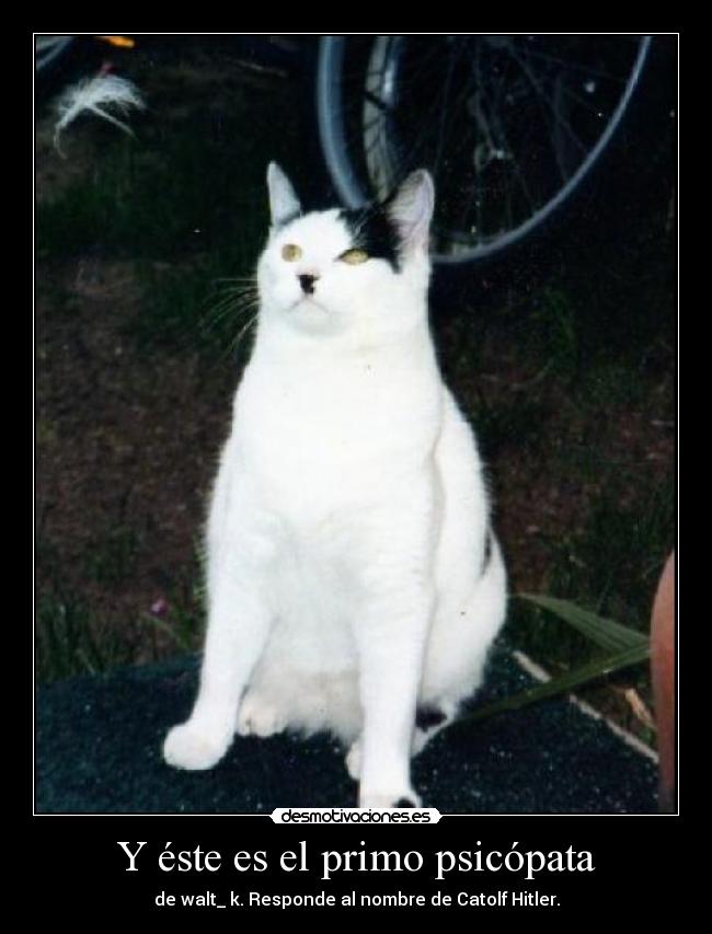 Y éste es el primo psicópata -