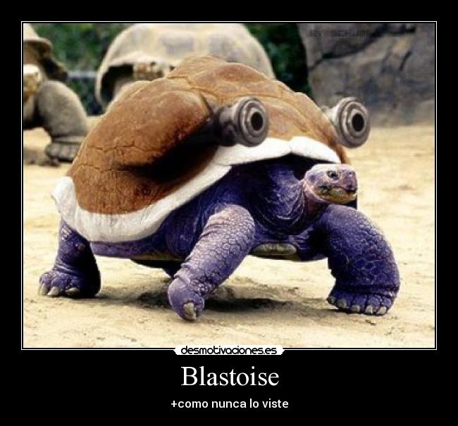 Blastoise - 