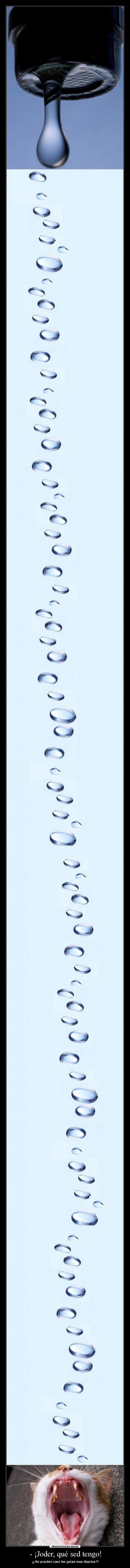 - ¡Joder, qué sed tengo! - 