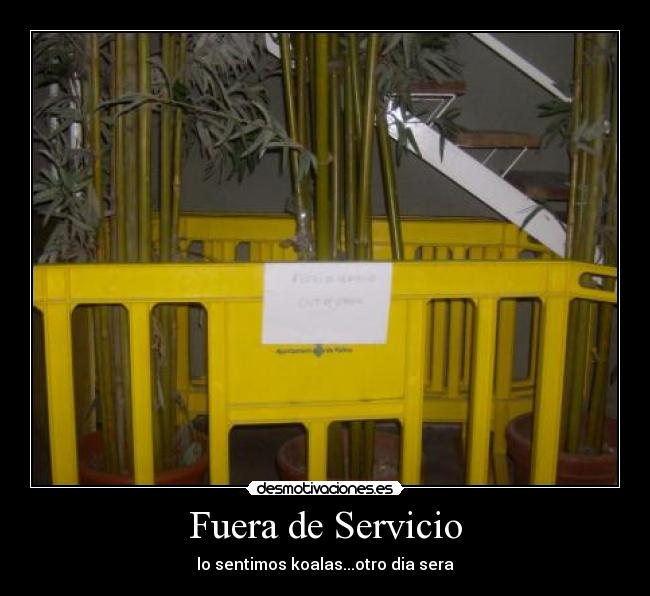 Fuera de Servicio - lo sentimos koalas...otro dia sera