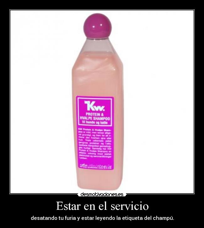 Estar en el servicio -