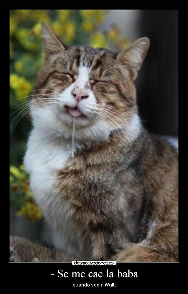 - Se me cae la baba | Desmotivaciones