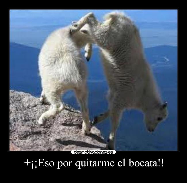 +¡¡Eso por quitarme el bocata!! -  