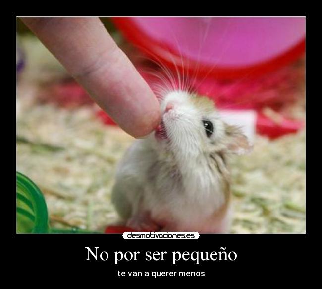 No por ser pequeño -