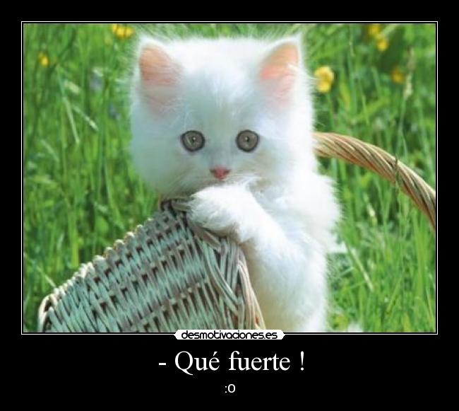 - Qué fuerte ! - :O