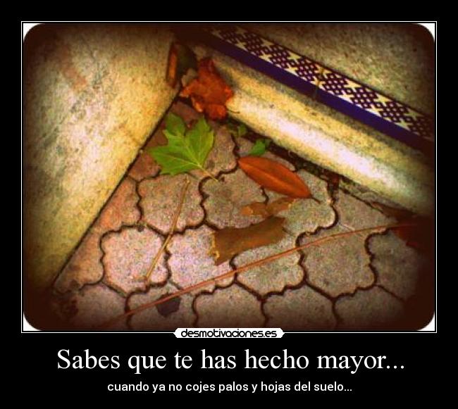 Sabes que te has hecho mayor... - cuando ya no cojes palos y hojas del suelo...