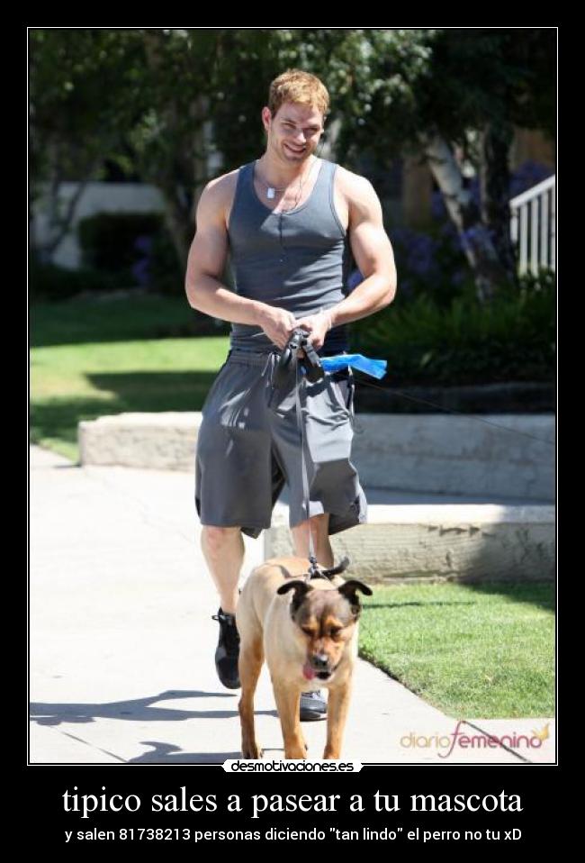 tipico sales a pasear a tu mascota - y salen 81738213 personas diciendo tan lindo el perro no tu xD