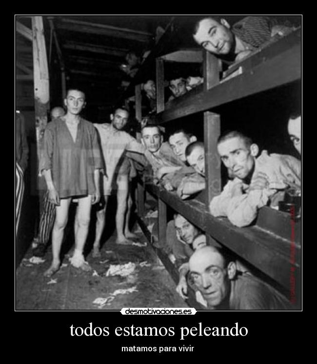 todos estamos peleando - matamos para vivir 