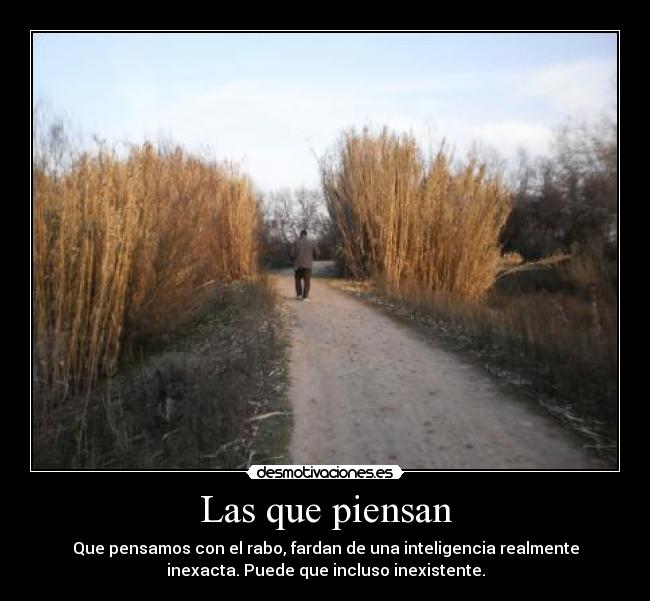 Las que piensan -