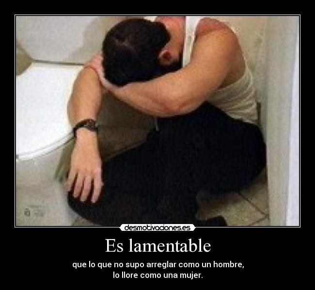 carteles lamentable desmotivaciones