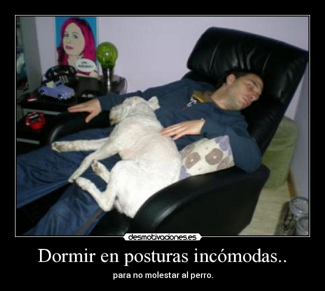  Dormir en posturas incómodas..  - para no molestar al perro.