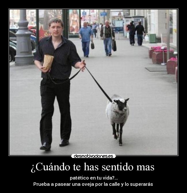 ¿Cuándo te has sentido mas  - 