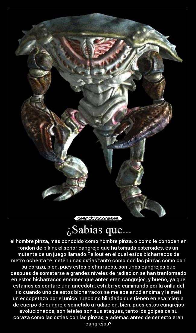 ¿Sabias que... - el hombre pinza, mas conocido como hombre pinza, o como le conocen en
fondon de bikini: el señor cangrejo que ha tomado esteroides, es un
mutante de un juego llamado Fallout en el cual estos bicharracos de
metro ochenta te meten unas ostias tanto como con las pinzas como con
su coraza, bien, pues estos bicharracos, son unos cangrejos que
despues de someterse a grandes niveles de radiacion se han tranformado
en estos bicharracos enormes que antes eran cangrejos, y bueno, ya que
estamos os contare una anecdota: estaba yo caminando por la orilla del
rio cuando uno de estos bicharracos se me abalanzó encima y le meti
un escopetazo por el unico hueco no blindado que tienen en esa mierda
de cuerpo de cangrejo sometido a radiacion, bien, pues estos cangrejos
evolucionados, son letales son sus ataques, tanto los golpes de su
coraza como las ostias con las pinzas, y ademas antes de ser esto eran
cangrejos?