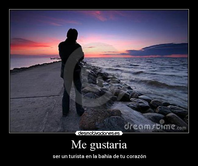 carteles zoiber desmotivaciones