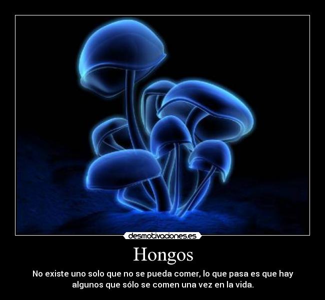 Hongos - No existe uno solo que no se pueda comer, lo que pasa es que hay
algunos que sólo se comen una vez en la vida.