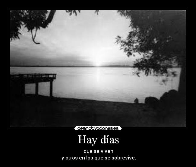 carteles dias desmotivaciones