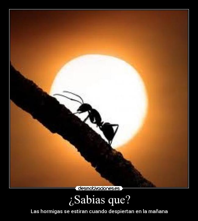 ¿Sabias que? - 