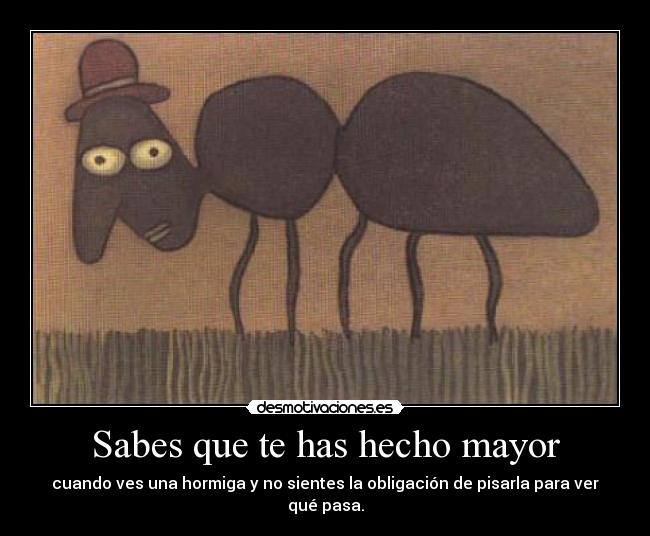 Sabes que te has hecho mayor - cuando ves una hormiga y no sientes la obligación de pisarla para ver qué pasa.
