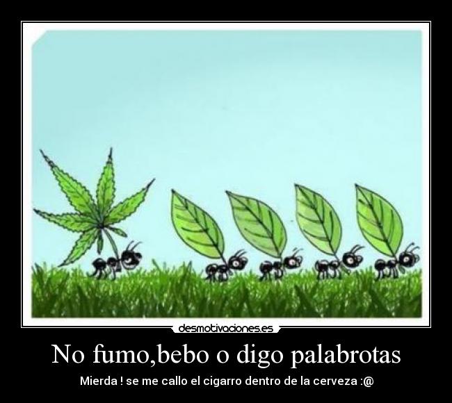 No fumo,bebo o digo palabrotas -