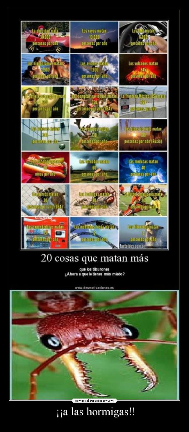 ¡¡a las hormigas!! -