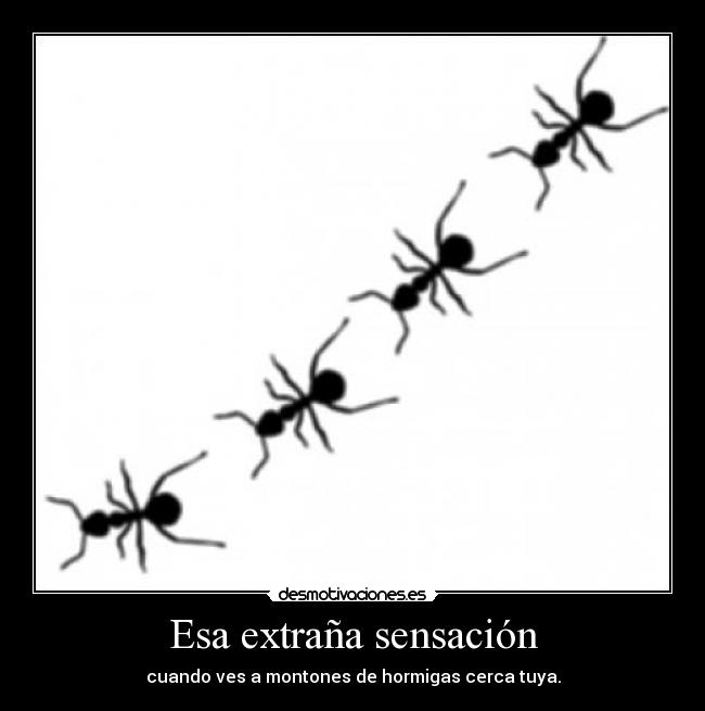 Esa extraña sensación - cuando ves a montones de hormigas cerca tuya.