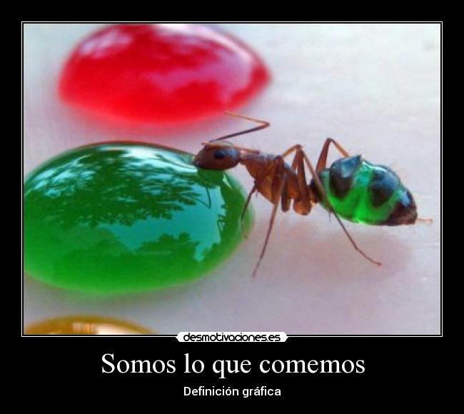 Somos lo que comemos - Definición gráfica